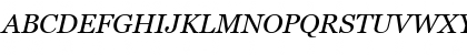 MS Reference Serif Italic Font MS Reference Serif Italic Font