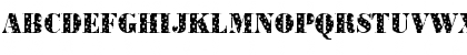 BodoniStars Regular Font BodoniStars Regular Font