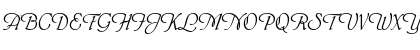 PhyllisD Regular Font PhyllisD Regular Font