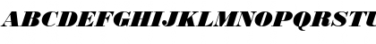 Bodoni Becker Black Italic Font