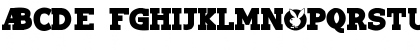 NewWGL4Font Regular Font