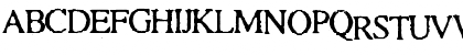 Times Normal Font Times Normal Font