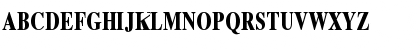 Xerox Serif Narrow Bold Font