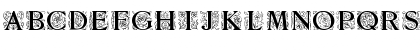 Zallman-Caps Regular Font