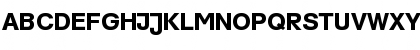 AG Schoolbook Medium Font