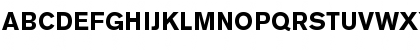 Berthold Akzidenz Grotesk BE Bold Font Berthold Akzidenz Grotesk BE Bold Font