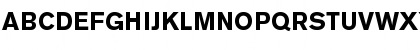 Berthold Akzidenz Grotesk Bold Font Berthold Akzidenz Grotesk Bold Font