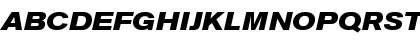 Berthold Akzidenz Grotesk Bold Extended Italic Font Berthold Akzidenz Grotesk Bold Extended Italic Font