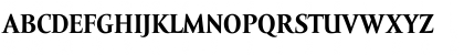 Amor Serif Text Pro Bold Font Amor Serif Text Pro Bold Font