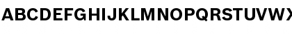 BoschSans Bold Font BoschSans Bold Font
