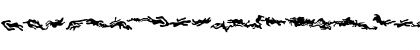 combo Bold Font combo Bold Font