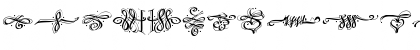 Df Regular Font