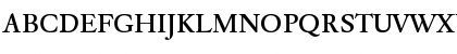 DTLElzevirTMedium Regular Font