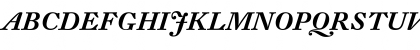 DTL Fleischmann T Medium Italic Font DTL Fleischmann T Medium Italic Font