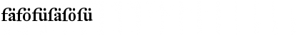 DTL Fleischmann Display Bold Font DTL Fleischmann Display Bold Font