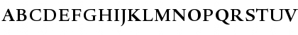 DTL Haarlemmer D Bold Font DTL Haarlemmer D Bold Font