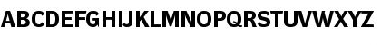 DynaGrotesk RE Bold Font