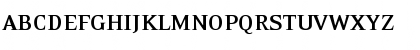 EideticNeo Bold Regular Font
