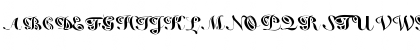 False Positive Font False Positive Font
