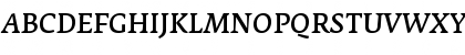 FedraSerifA NormalItalic Font