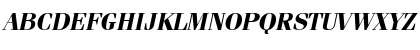 ITC Fenice Bold Oblique Font ITC Fenice Bold Oblique Font