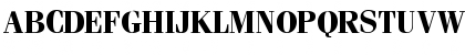 Fenice Bold Font