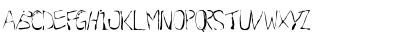 New Regular Font