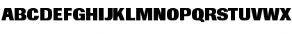 Berthold Imago Extra Bold Font Berthold Imago Extra Bold Font