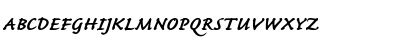 CaflischScript Regular Bold Italic Font CaflischScript Regular Bold Italic Font