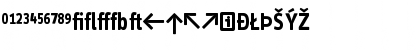 InfoDispBold RomanExp Font