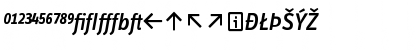 InfoTextMedium ItalicExp Font InfoTextMedium ItalicExp Font