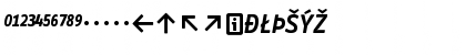 InfoTextSemibold CapsItaExp Font