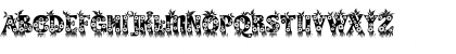 Kingthings Annex Extra Bold Font