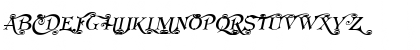 Koster Swash Caps Oblique Regular Font Koster Swash Caps Oblique Regular Font