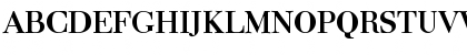 Camelia Bold Font Camelia Bold Font