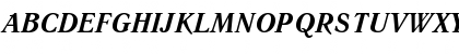 LiteraturnayaC Bold Italic Font LiteraturnayaC Bold Italic Font