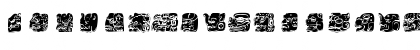 MayaSigns Regular Font MayaSigns Regular Font