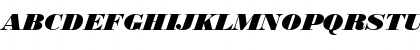 Bodoni Black Italic Font Bodoni Black Italic Font