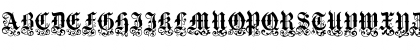 MediciText Regular Font MediciText Regular Font