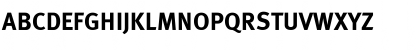 Meta Bold Lf Roman Font