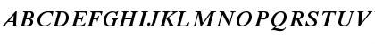 Times New Roman Semi Bold Italic Font