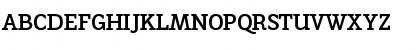 Napoleone Slab ITC Std Bold Font Napoleone Slab ITC Std Bold Font