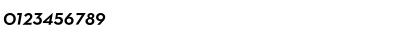 Neutra Text Light Frac Demi Italic Font
