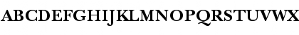 ITC New Baskerville Bold Font ITC New Baskerville Bold Font