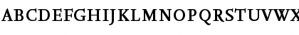 NexusSerif-BoldSC Regular Font NexusSerif-BoldSC Regular Font
