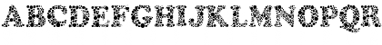 Amydor Regular Font Amydor Regular Font