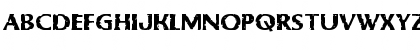 Body Swipers Expanded Expanded Font