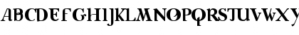 CaseSeraSeraBold Regular Font CaseSeraSeraBold Regular Font