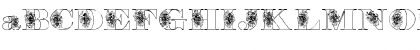 Floryan Demo Font Floryan Demo Font