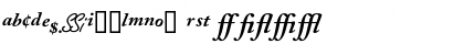 CaslonProBlackSSK Italic Font CaslonProBlackSSK Italic Font